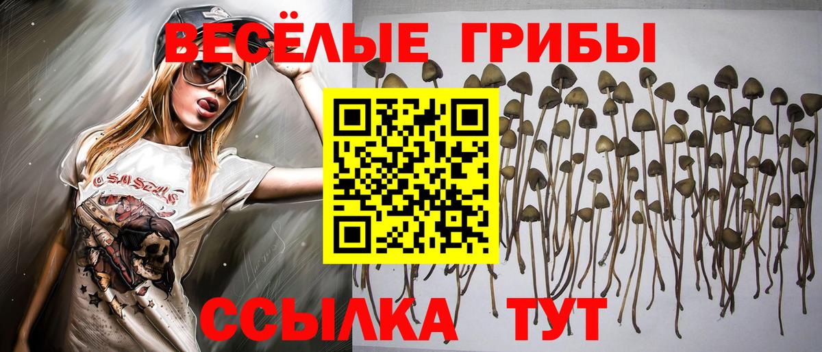 Псилоцибиновые грибы ЛСД Алексин