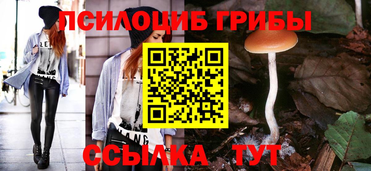 Алексин  Псилоцибиновые грибы Cubensis  Вход с VPN  Псилоцибиновые грибы Psilocybe 